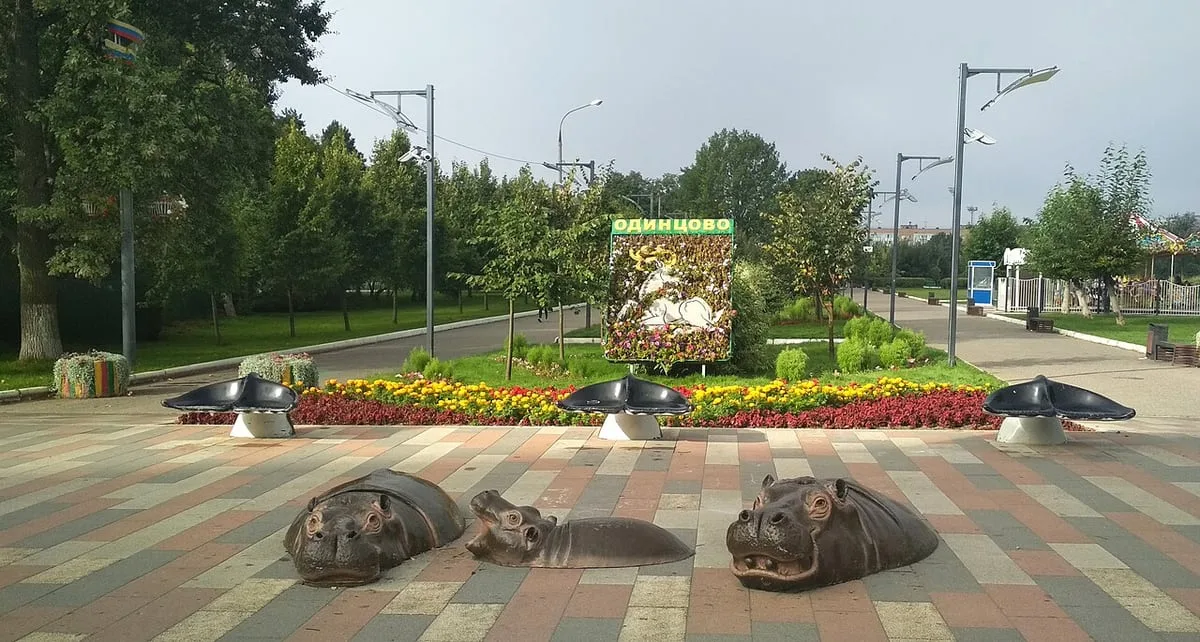 Пушистый диверсант разнес квартиру на 19-м этаже в Одинцово