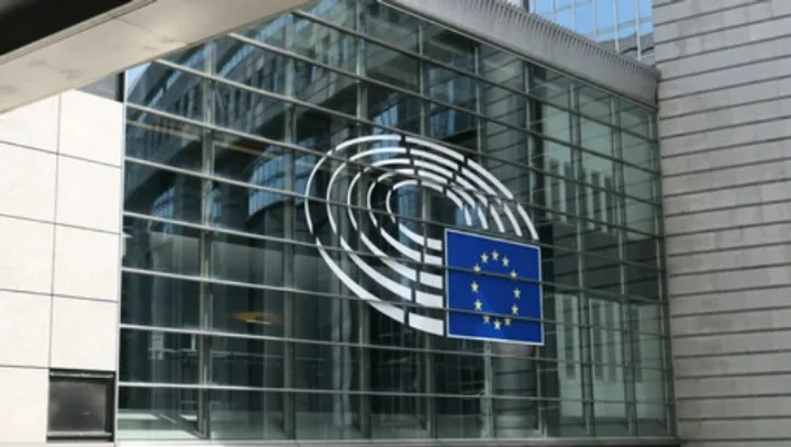 Европарламент: польская депутатка разорвала флаг и пригрозила Киеву