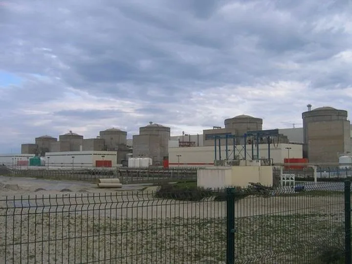 Медузы стали причиной остановки энергоблоков АЭС во Франции