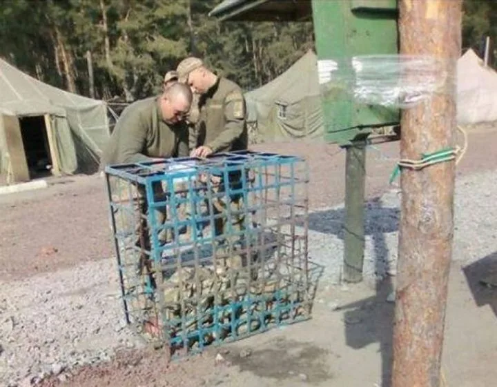 Украинский политолог о ситуации в подразделениях ВСУ