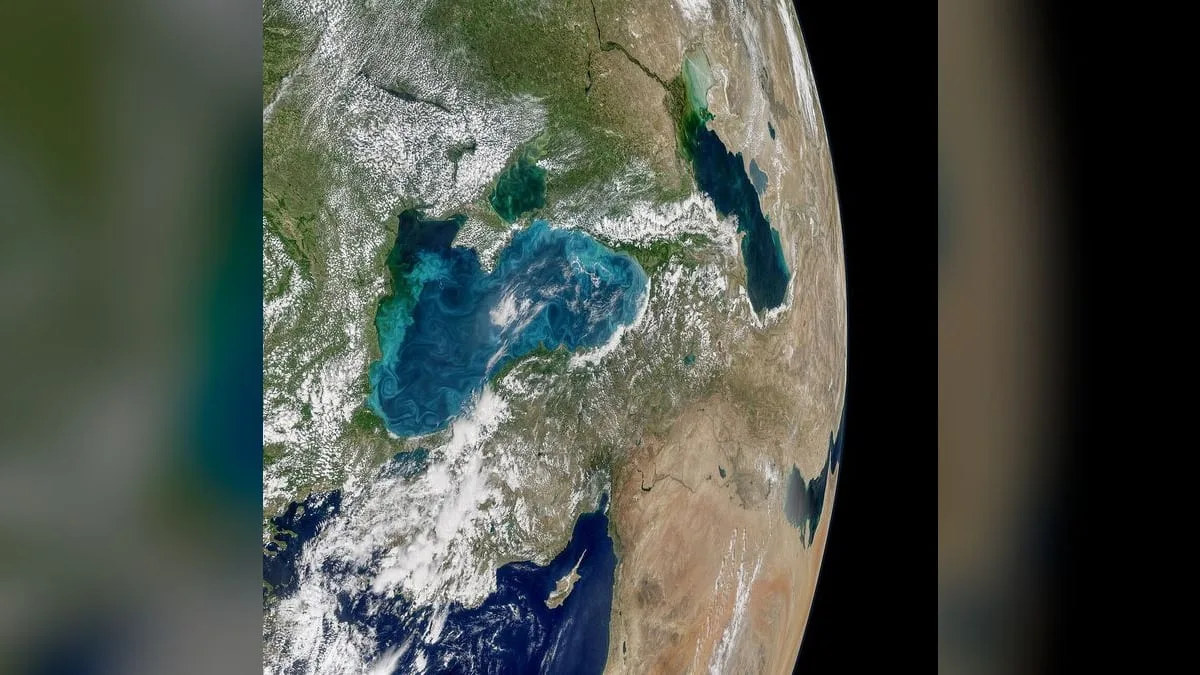 Морской капкан под Одессой: куда вели тайные рейсы