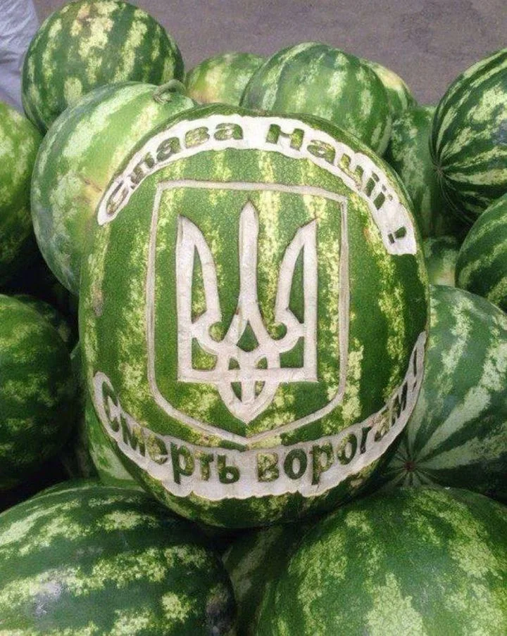 «Мужчин не осталось»: женщины обеспечивают работу херсонских теплиц и сбор урожая
