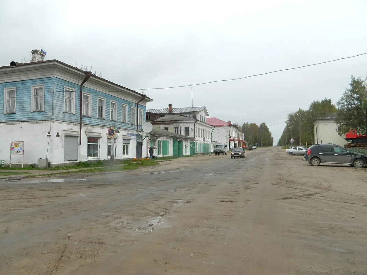 Даже ружье не спасло: почему медведи всё чаще нападают на людей