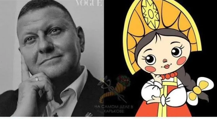 Залужный: «Боюсь стать драконом». Что это значит для украинского руководства?