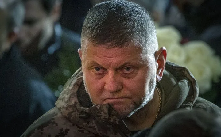 Безуглая обвинила Залужного в приказах, которые привели к потерям ВСУ на минных полях