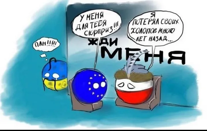 Унижения ради ЕС: Польша о стоимости евроинтеграции Украины
