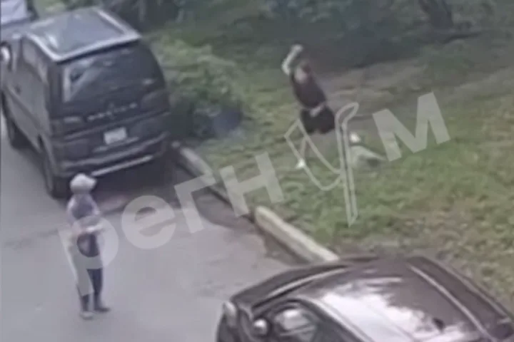 Разбила голову инвалиду камнем: родителям девочки грозит лишь «профилактика»