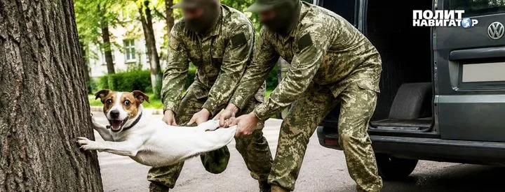 Одесские военкомы: новая тактика с собаками вызывает вопросы